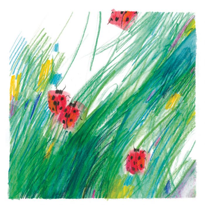 BOJE DRVENE  12BOJA GRIP 2001 FABER-CASTELL 112412