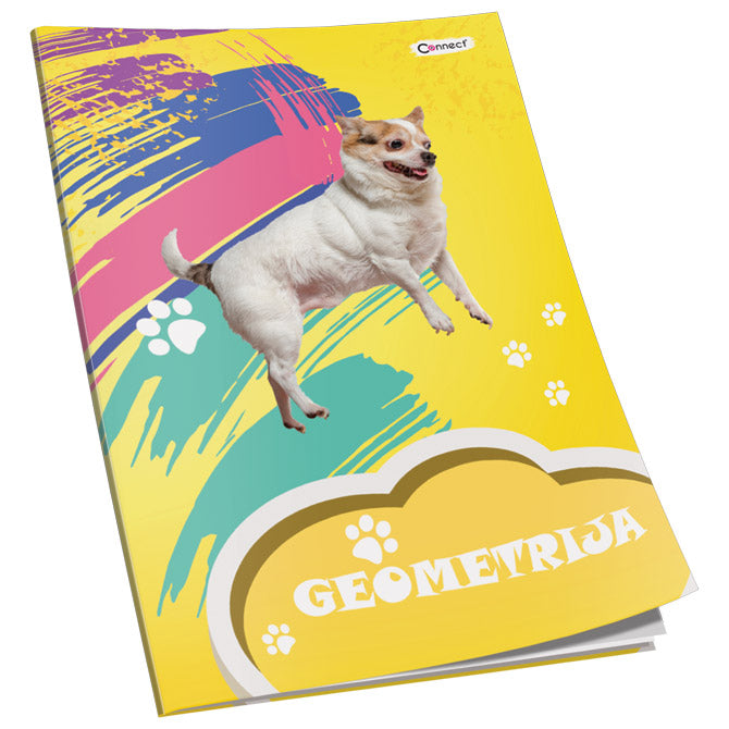 OBRAZAC ŠKOLSKI GEOMETRIJA PREMIUM CONNECT GIRL