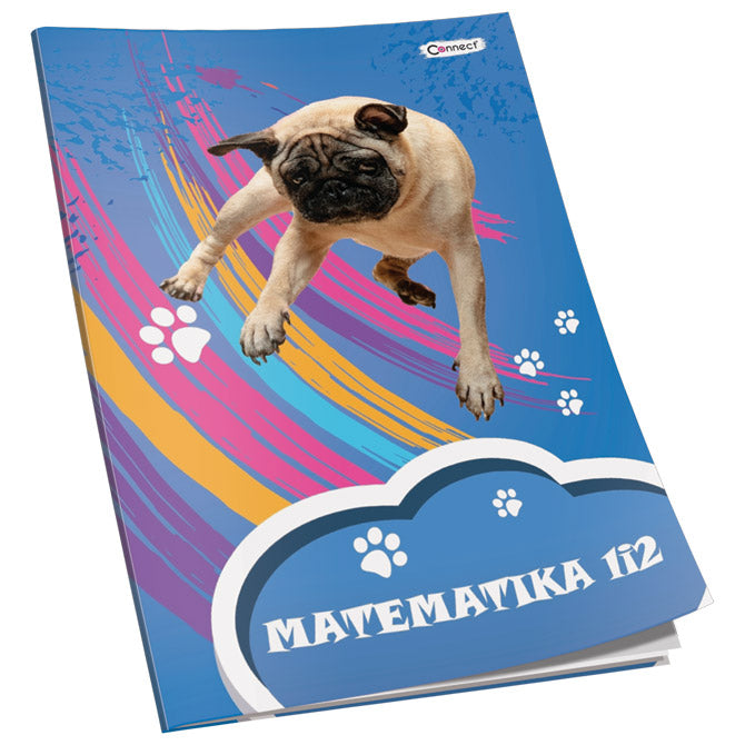 OBRAZAC ŠKOLSKI MATEMATIKA ZA 1 I 2RAZRED PREMIUM CONNECT GIRL