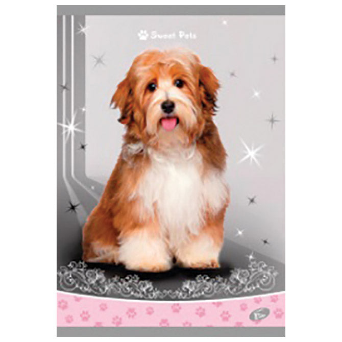 TEKA MEKI UVEZ A4 KARO 40 PLUS 2L 80G SWEET PETS ELISA