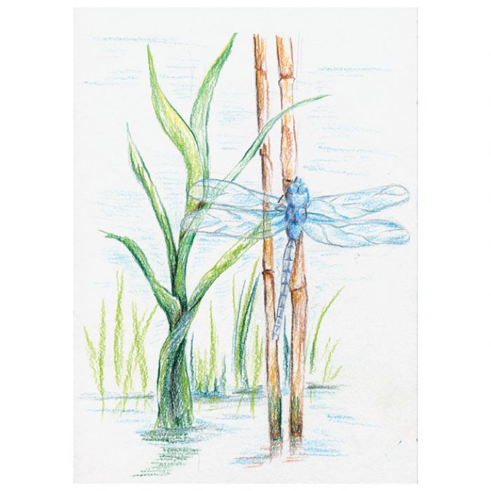 BOJE DRVENE-VODENE  24BOJE METALNA KUTIJA AQUARELL DESIGN JOURNEY STAEDTLER 14610C M24