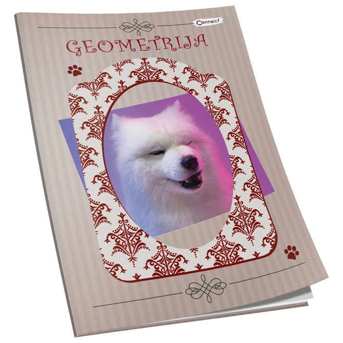 OBRAZAC ŠKOLSKI GEOMETRIJA SOFT PLUS  CONNECT GIRL