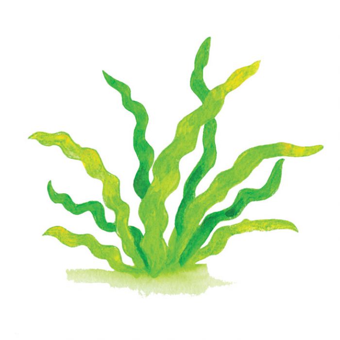 BOJE DRVENE-VODENE  48BOJA PLUS KIST PLUS ŠILJILO AQUARELL FABER CASTELL 114448 BLISTER