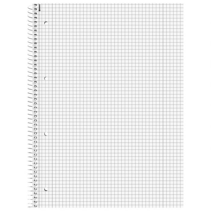 BLOK KOLEGIJ A4 KARO  80L PERFORACIJA PLUS 4RUPE FRUITY LOVE BRUNNEN 10-67928 522