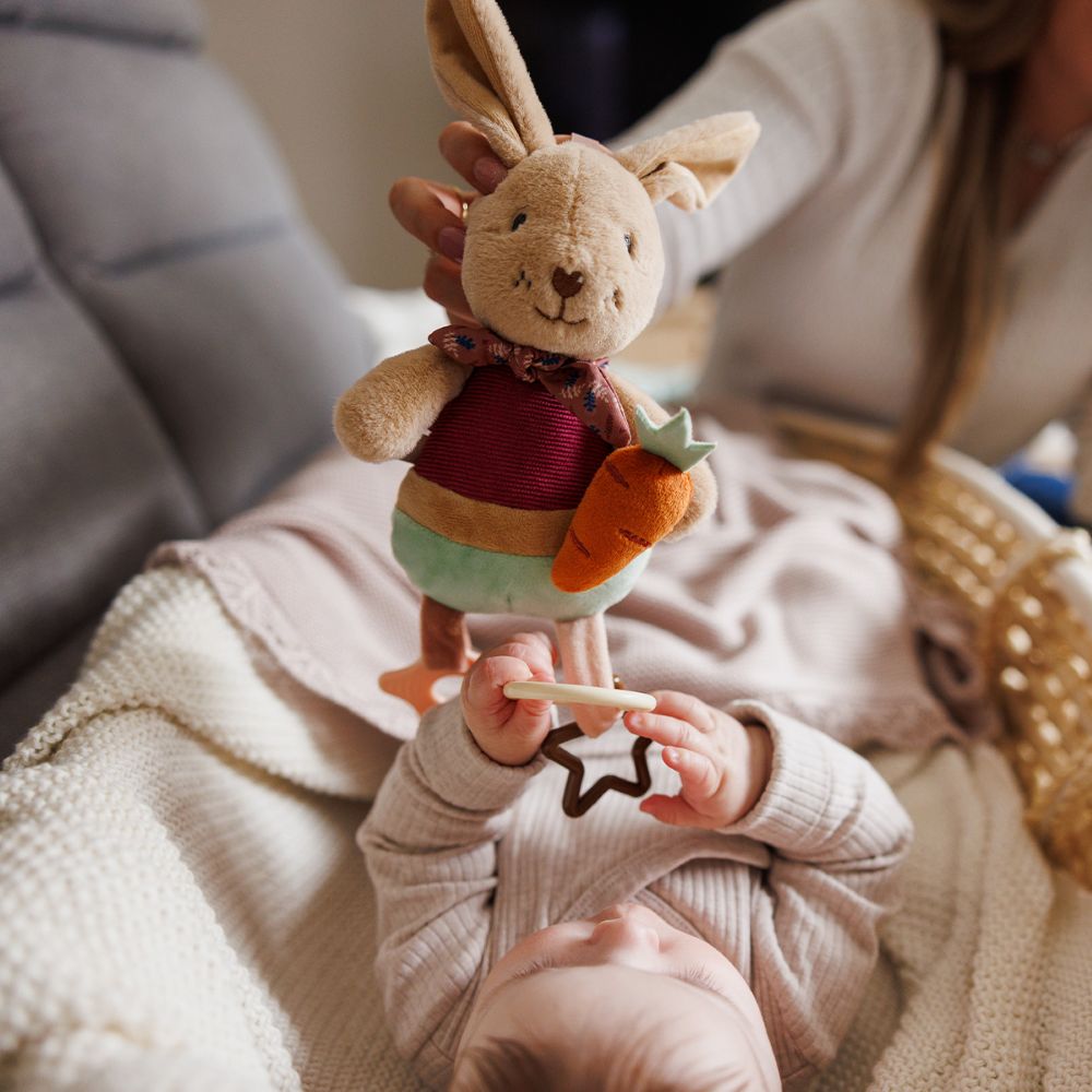 BabyOno Viseća edukativna igračka zec Karo