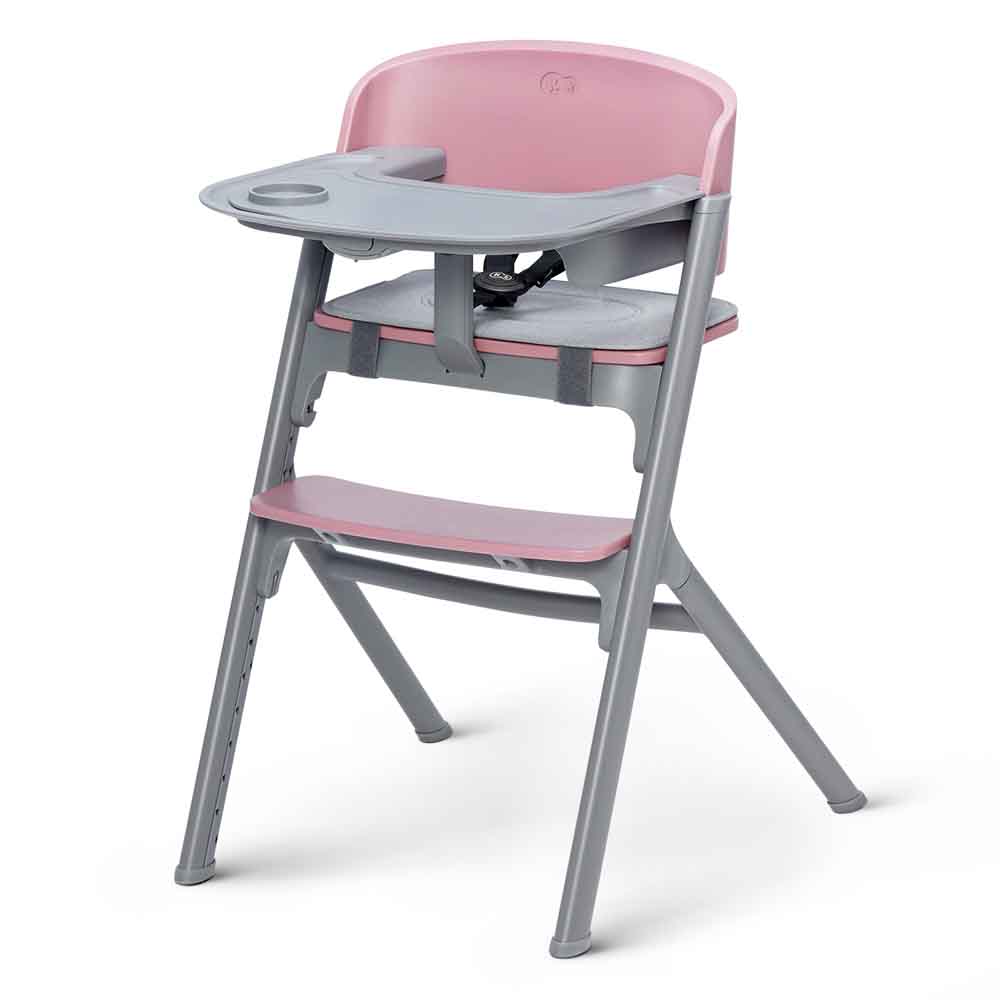 Kinderkraft hranilica LIVY, Aster pink 3u1