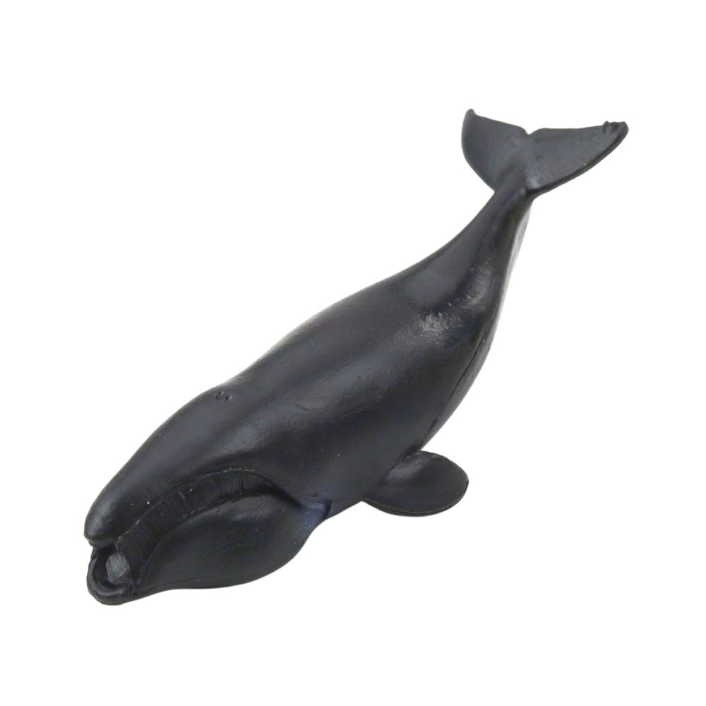 Set figura morskih sisavaca 6-8cm - 6 elemenata