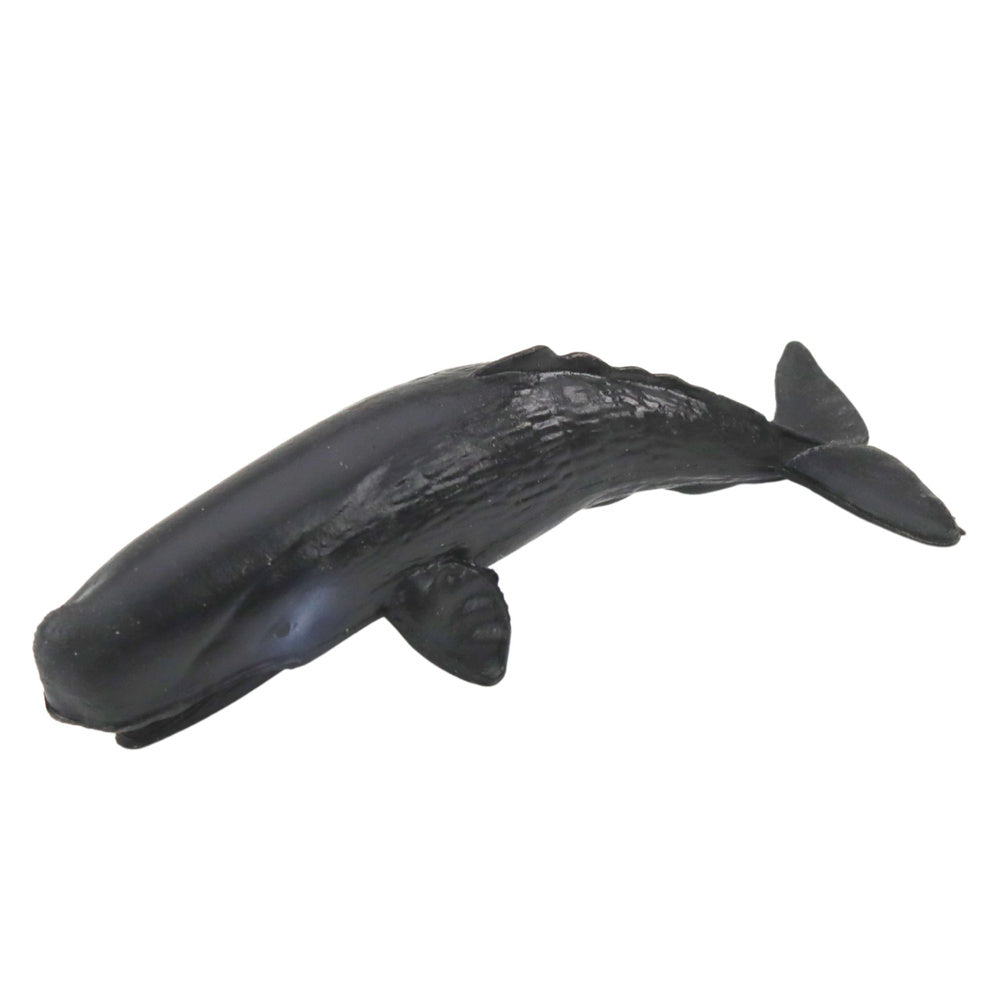 Set figura morskih sisavaca 6-8cm - 6 elemenata