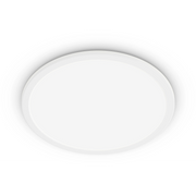 Philips Functional 8719514327221 stropna rasvjeta LED