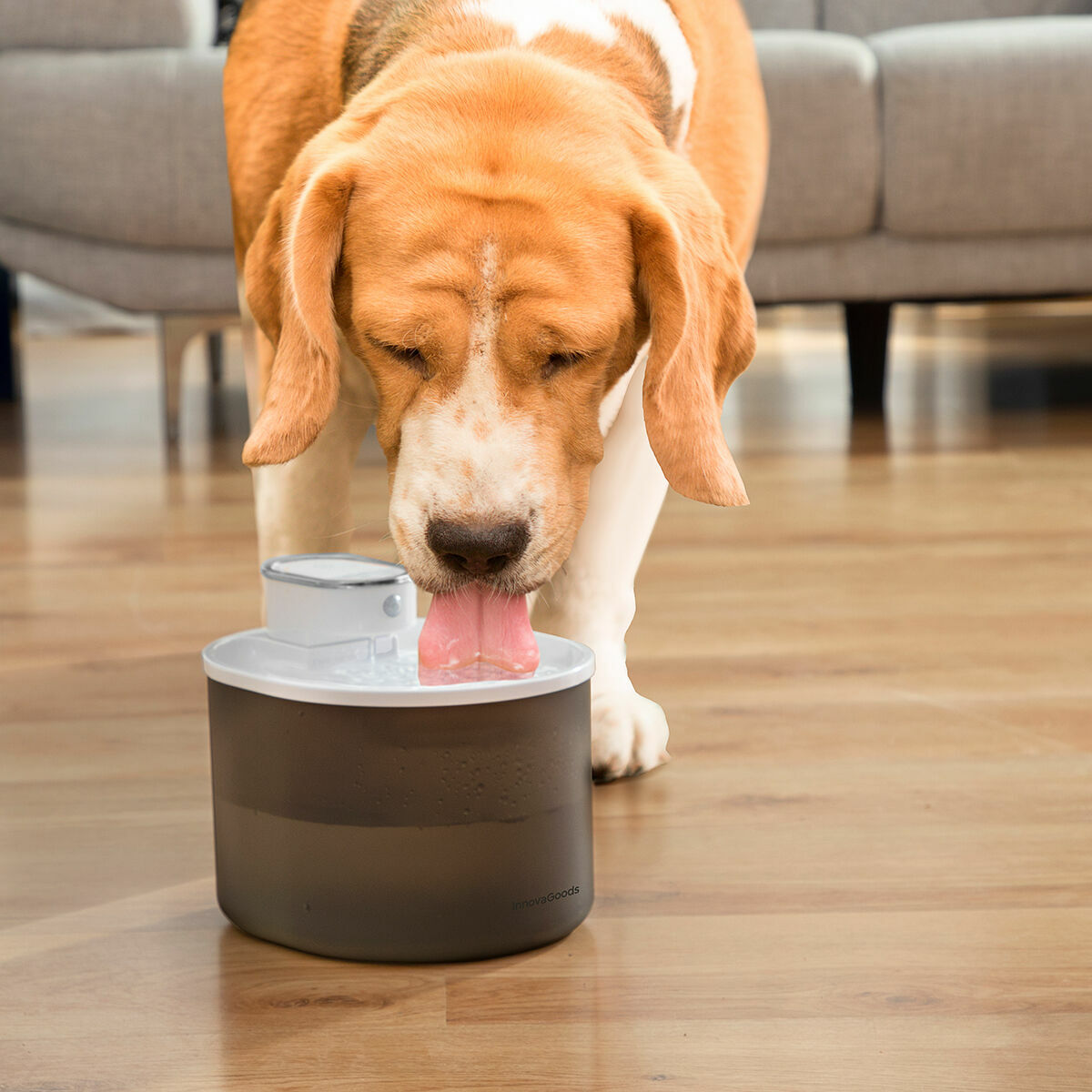 Punjiva Fontana za Mačke sa Senzorom Refopet InnovaGoods
