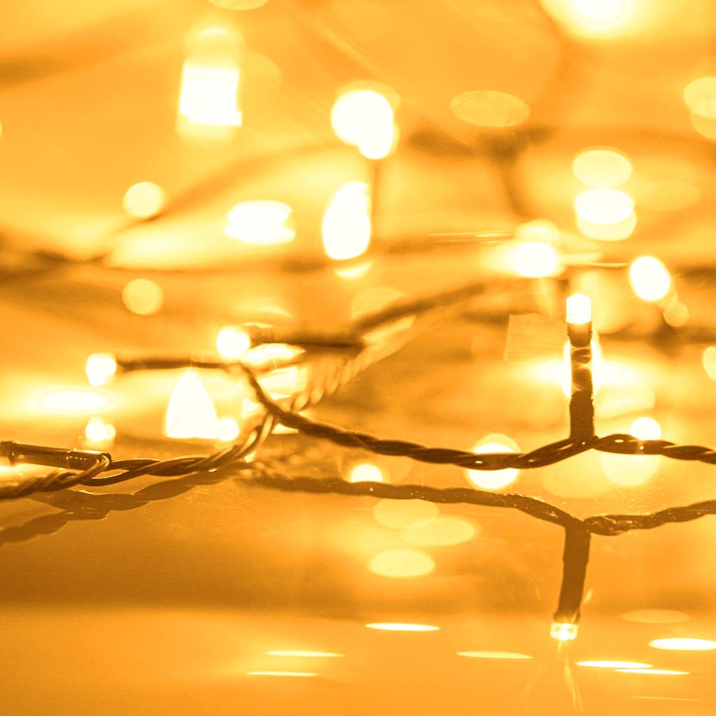 Mrežasta rasvjeta za božićno drvce sa 150 LED žarulja 150 cm