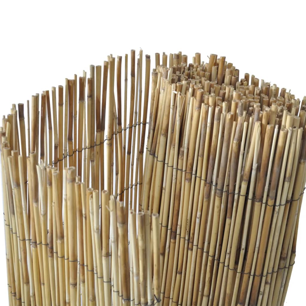 Vrtna ograda od trske 500 x 100 cm