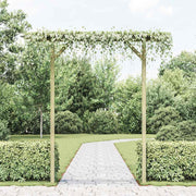 Vrtna pergola 205 x 40 x 203 cm drvena