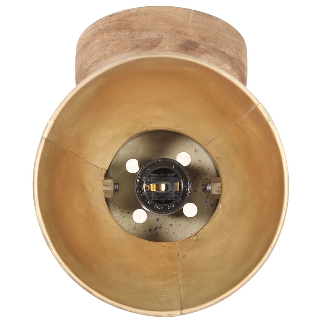 Industrijske zidne/stropne svjetiljke 2kom mjedene 20x25 cm E27