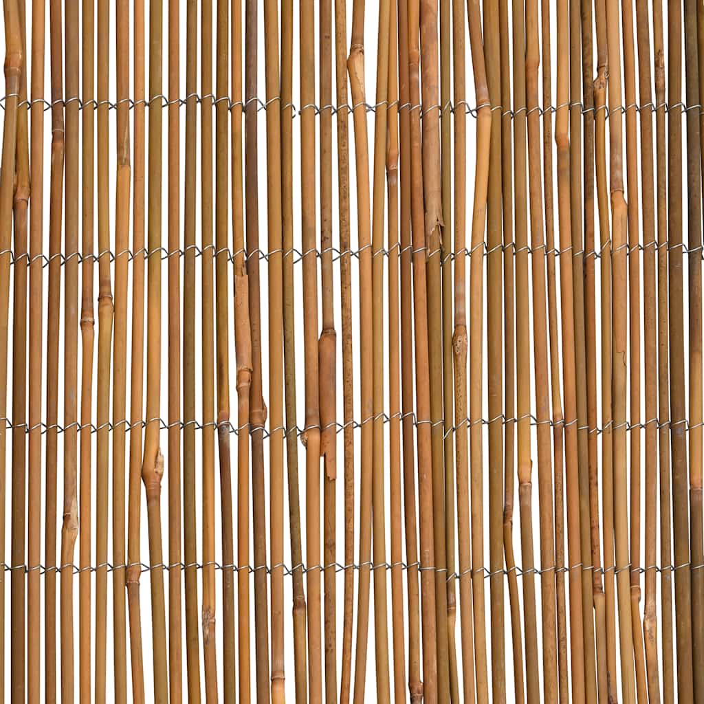 Ograda od bambusa 500 x 100 cm