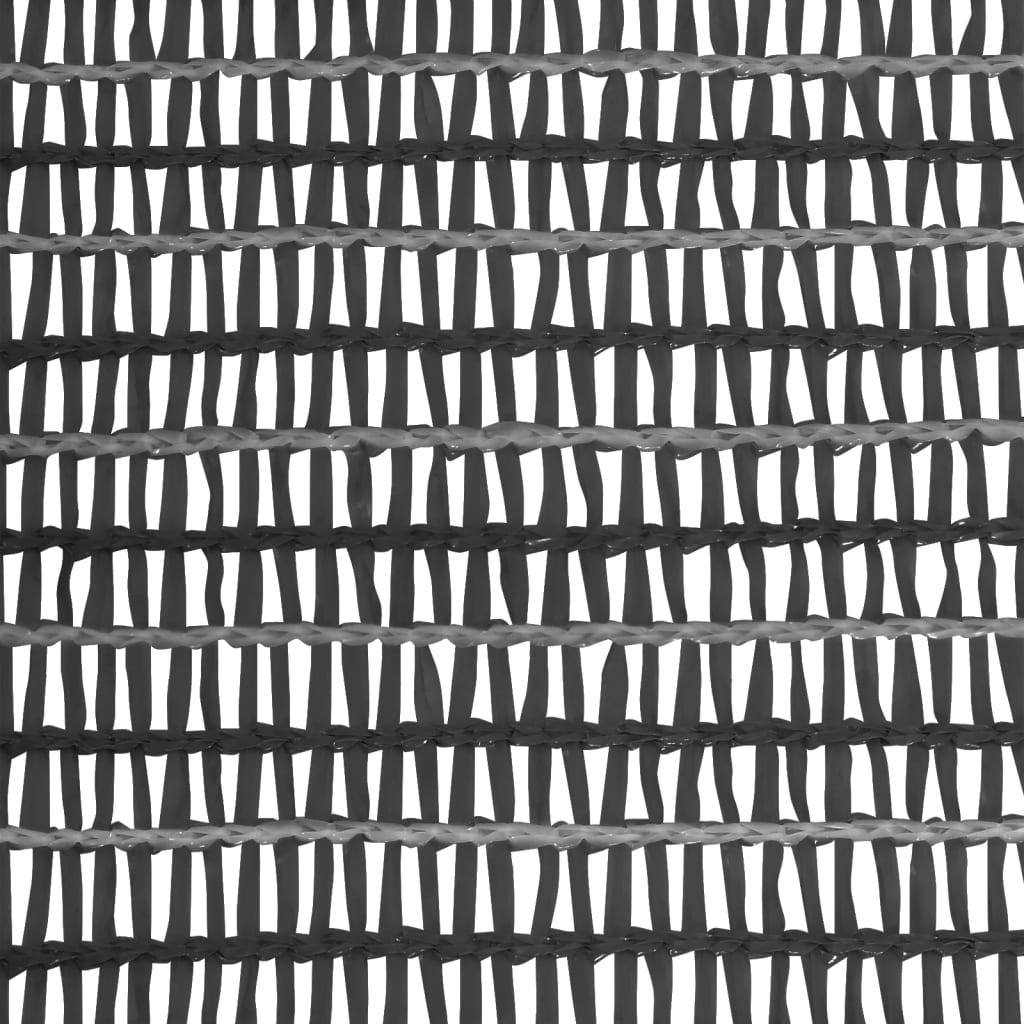 Mreža za privatnost antracit 2 x 50 m HDPE 150 g/m²