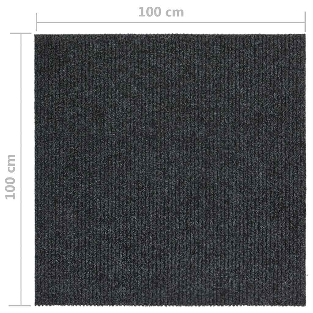 Dugi tepih za hvatanje nečistoće 100 x 100 cm antracit