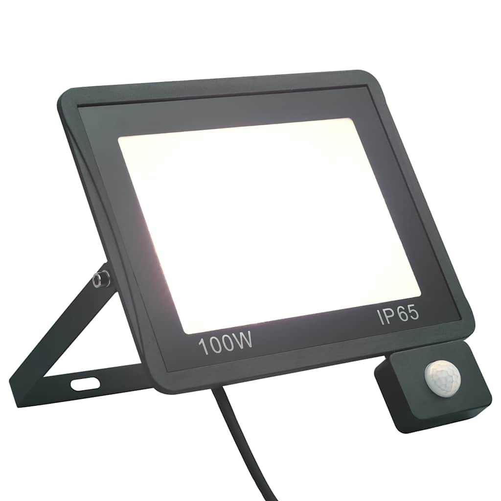 LED reflektor sa senzorom 100 W hladni bijeli