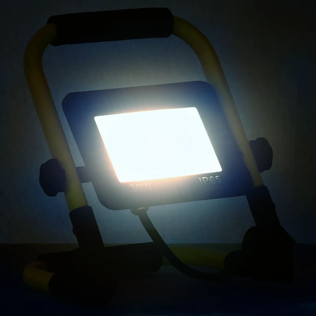 LED reflektor s ručkom 30 W hladni bijeli