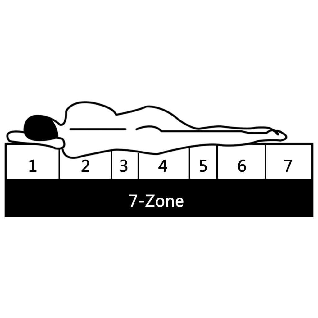 Dnevni ležaj na izvlačenje 2 x (90 x 200) cm masivna borovina