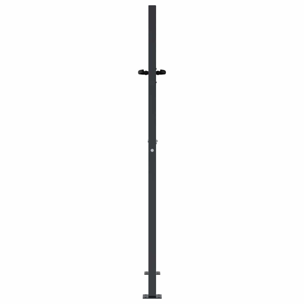 Vrtna vrata antracit 100x150 cm dizajn s čeličnim travom