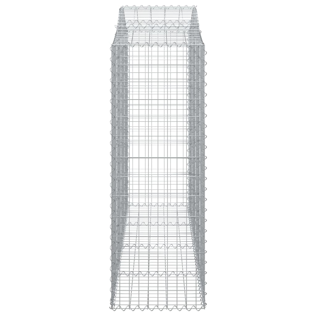 Lučne gabionske košare 40 kom 200 x 50 x 140/160 cm željezne