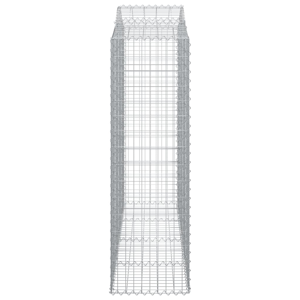 Lučne gabionske košare 2 kom 200x50x160/180cm pocinčano željezo