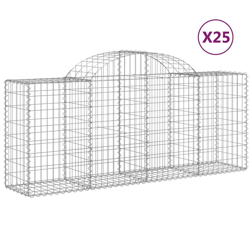 Lučne gabionske košare 25 kom 200x50x80/100cm pocinčano željezo