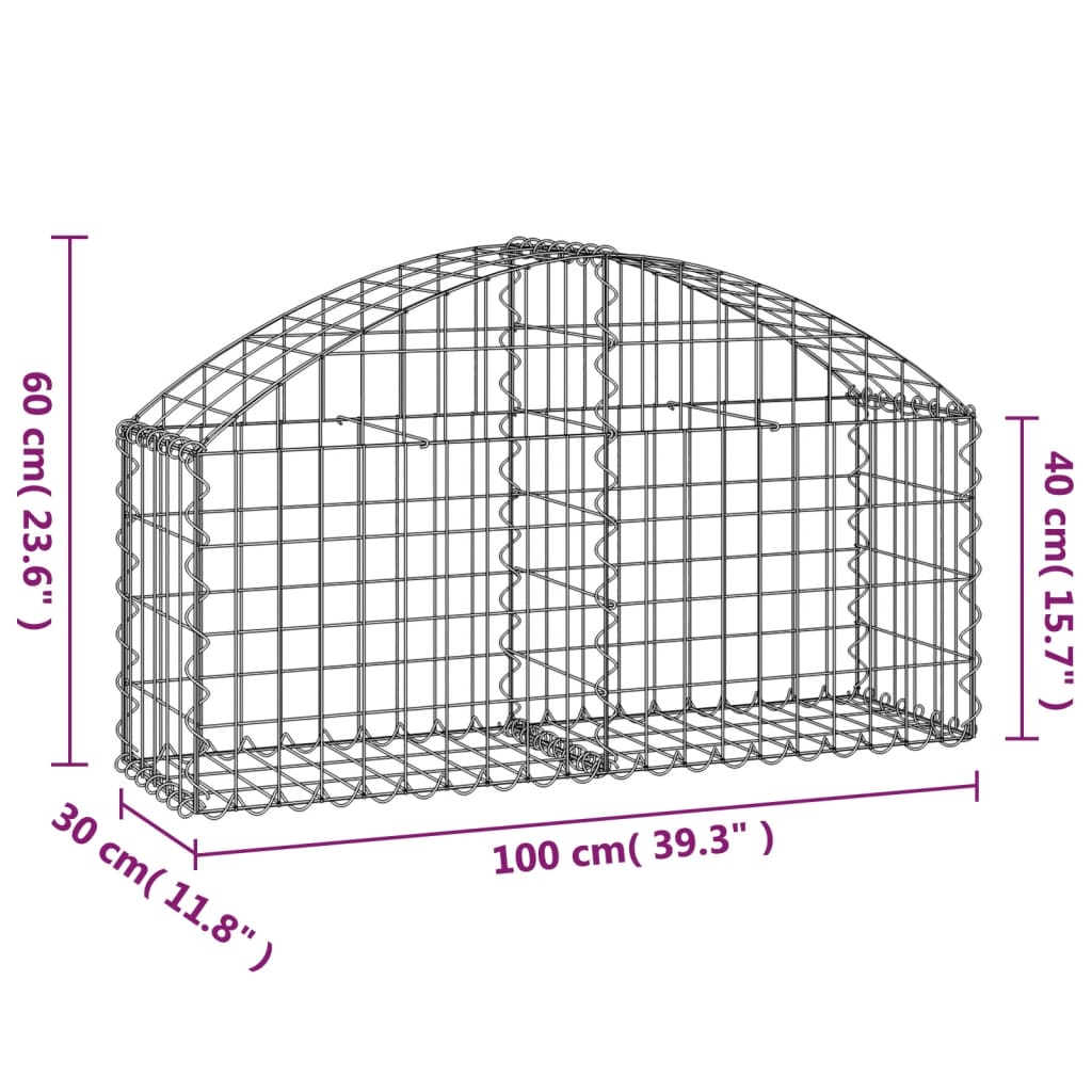 Gabionska košara s lukom 100x30x40/60 cm pocinčano željezo