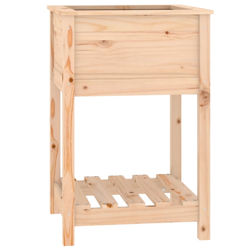 Sadilica s policom 54x54x81 cm od masivne borovine