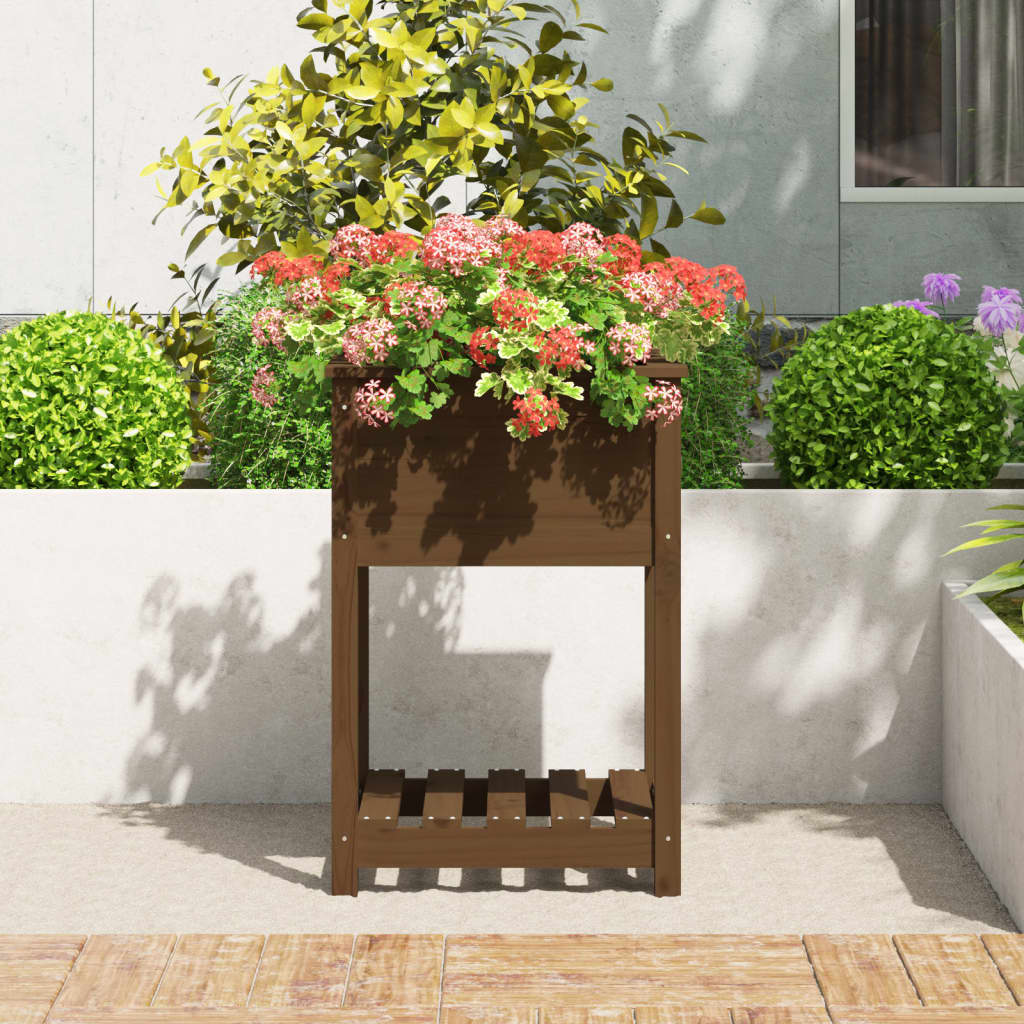 Sadilica s policom boja meda 54x54x81 cm od masivne borovine