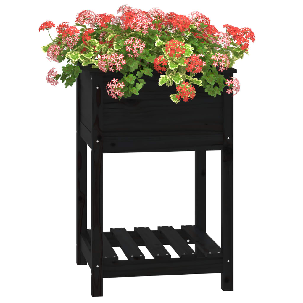 Sadilica s policom crna 54x54x81 cm od masivne borovine