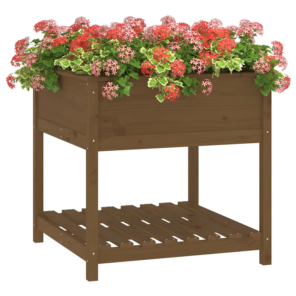 Sadilica s policom boja meda 82,5x82,5x81cm od masivne borovine