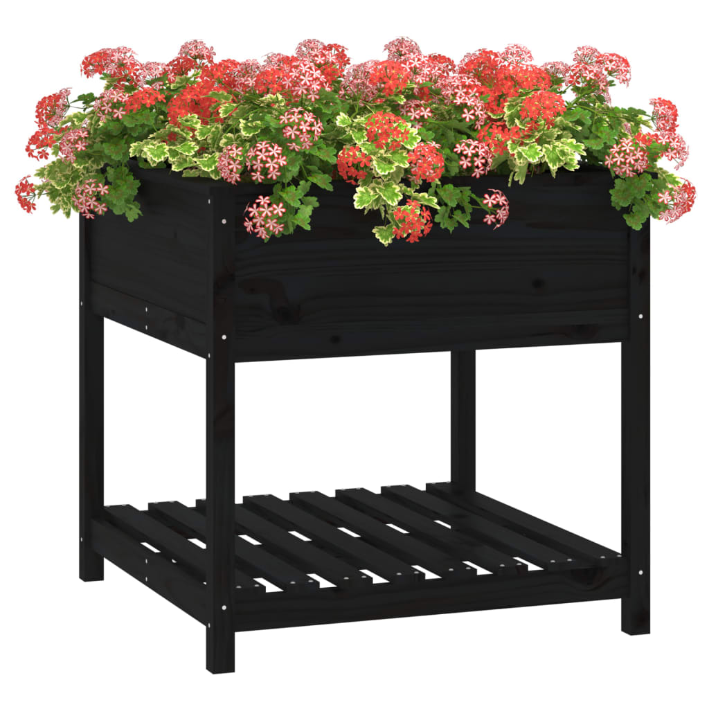 Sadilica s policom crna 82,5x82,5x81 cm od masivne borovine