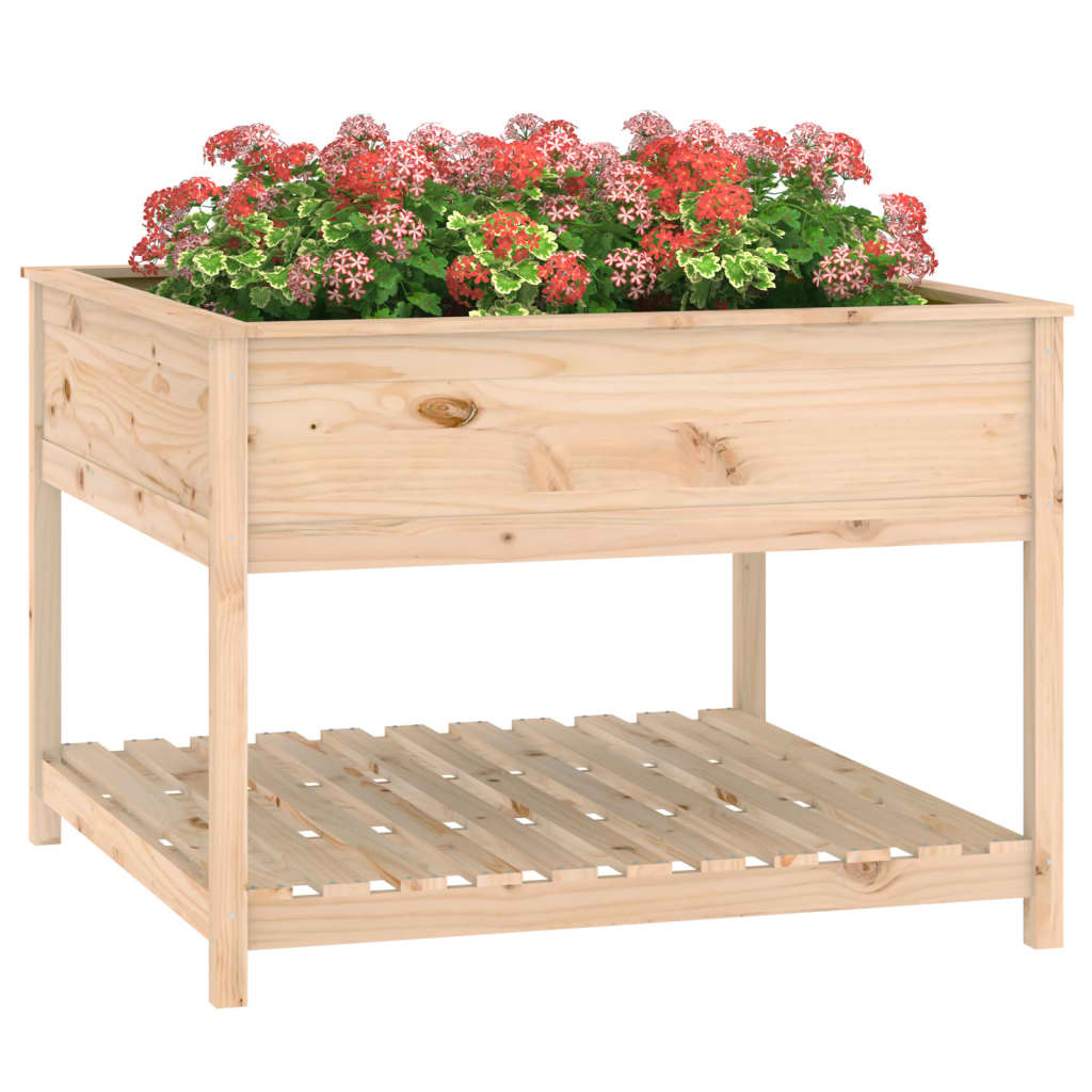 Sadilica s policom 111,5x111,5x81 cm od masivne borovine