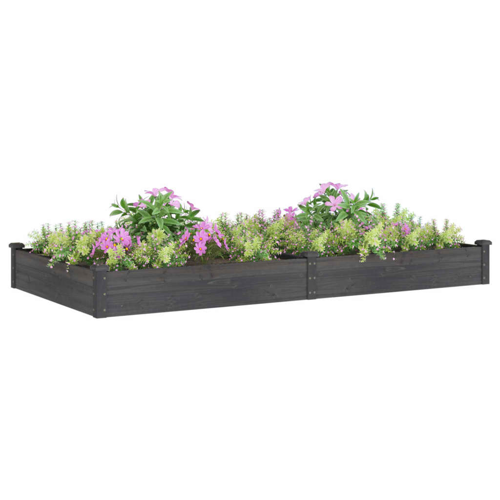Povišena vrtna gredica s oblogom siva 240x120x25 cm od jelovine