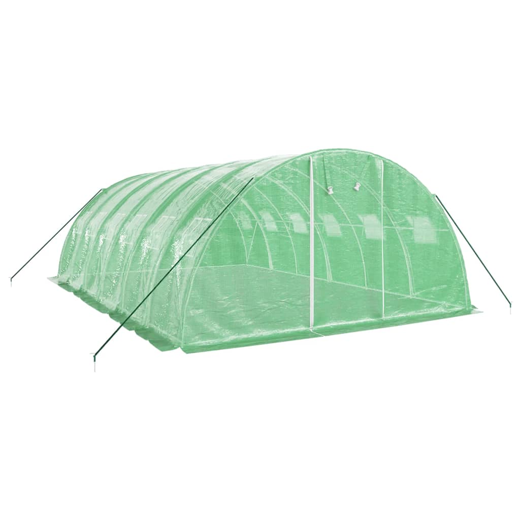 Staklenik s čeličnim okvirom zeleni 24 m² 6 x 4 x 2 m