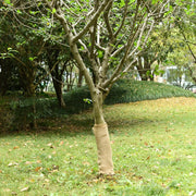 Rola jute 0,5x10 m 100 % juta 200 g/m²