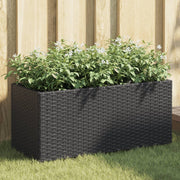 Vrtne sadilice s 2 posude 2 kom crne 72x30x32 cm poliratan