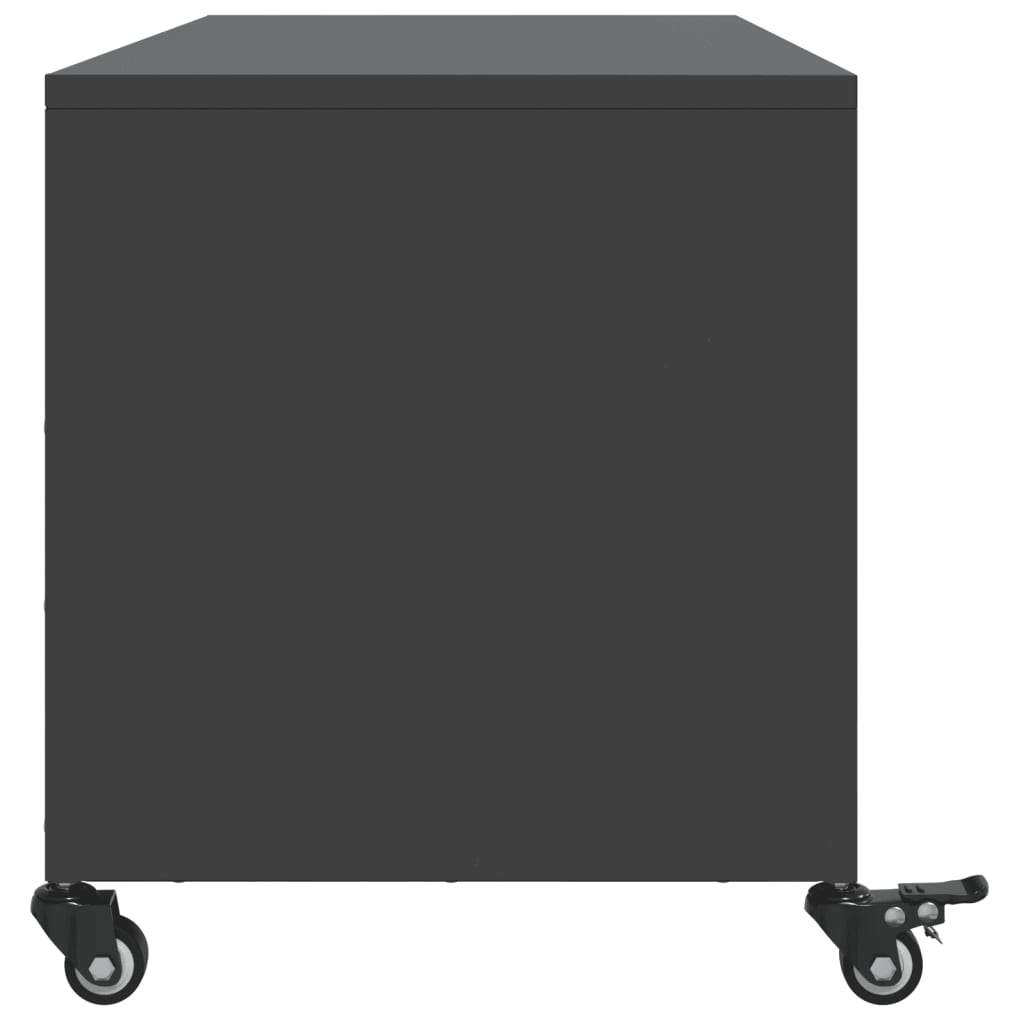 TV ormarić crni 100,5x39x43,5 cm čelik