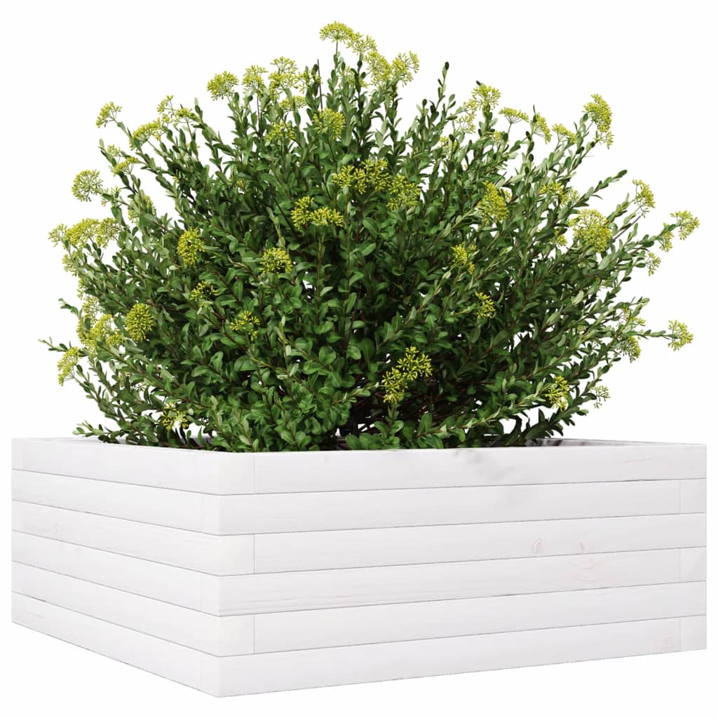 Vrtna sadilica bijela 60x60x23 cm od masivne borovine