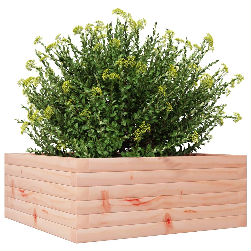 Vrtna sadilica 60 x 60 x 23 cm od masivnog drva duglazije