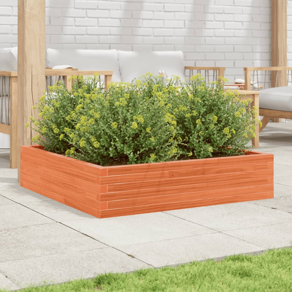 Vrtna sadilica voštano smeđa 100x100x23 cm masivna borovina