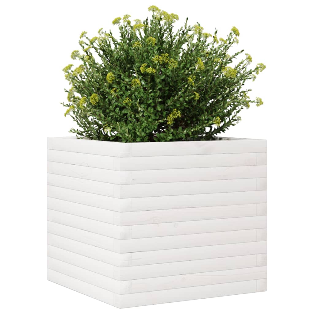 Vrtna sadilica bijela 50x50x45,5 cm od masivne borovine