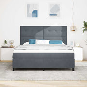 Krevet s opruga kutije Tamno siva 180 x 200 cm Baršun
