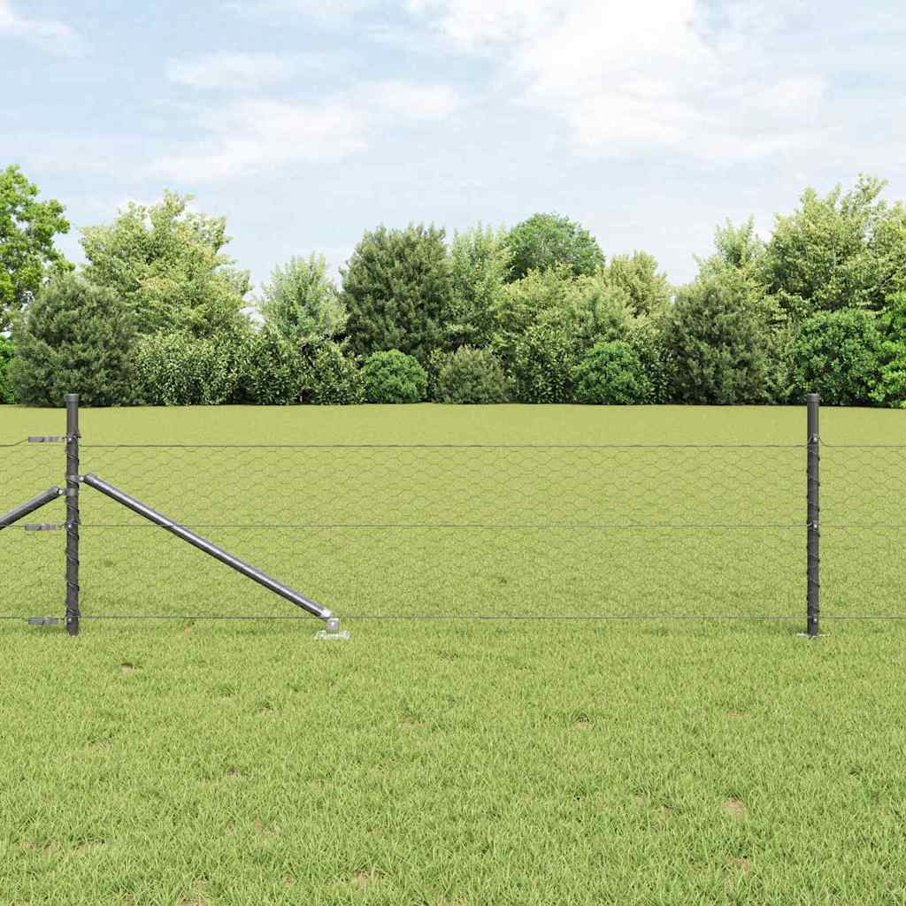 Zavareno žičano ograđivanje s bodljama 50 x 0,8 m (Š x V)