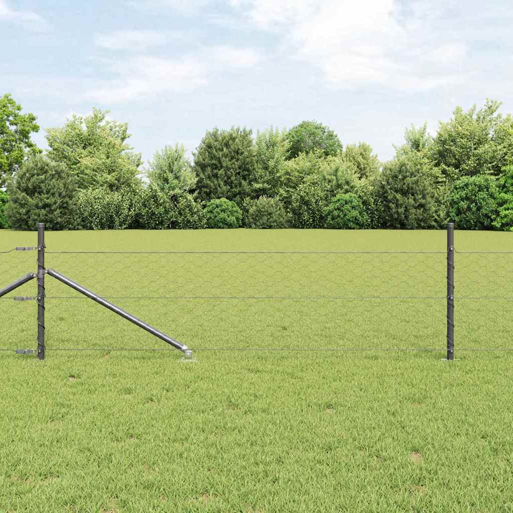 Zavareno žičano ograđivanje s bodljama 100 x 0,8 m (Š x V)