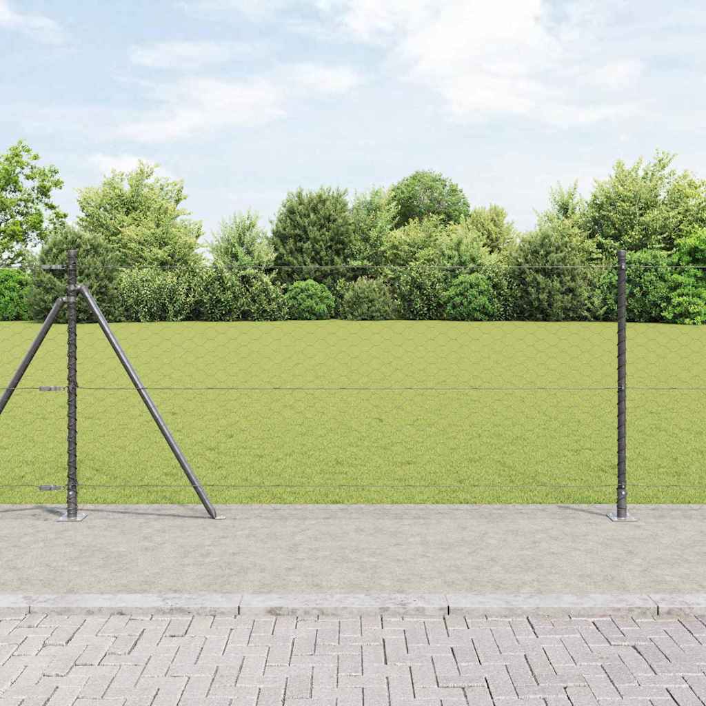 Heksagonalna ograda s betonskom osnovom 50 x 1 m Siva Mreža