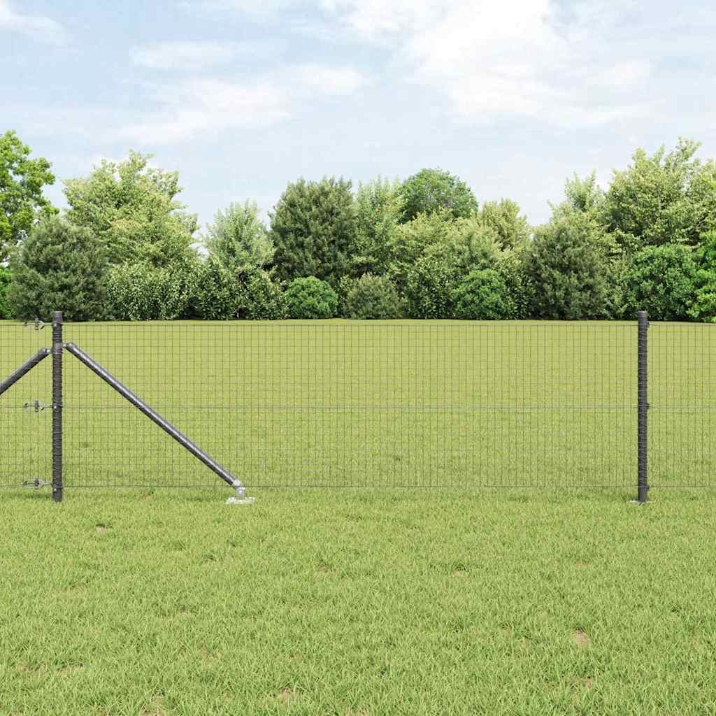 Zavareno žičano ograđivanje s bodljama 50 x 0,8 m (Š x V)