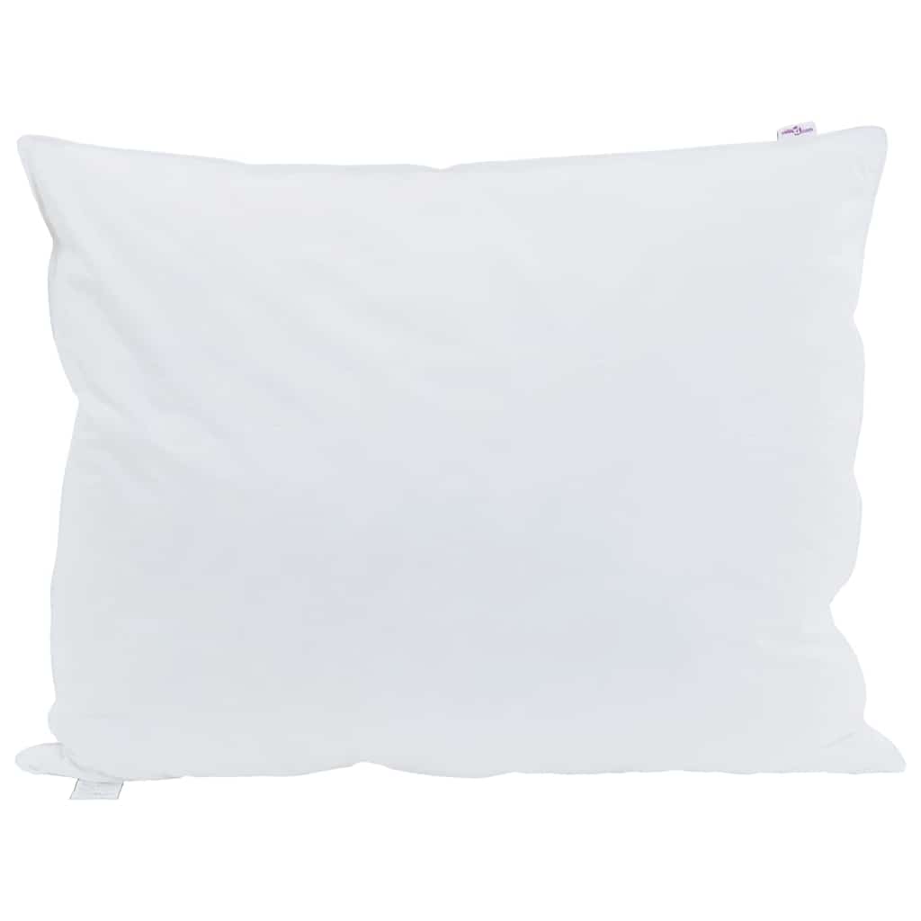 Jastuk s jastukom 2 pcs Bijelo 60 x 80 cm Perje